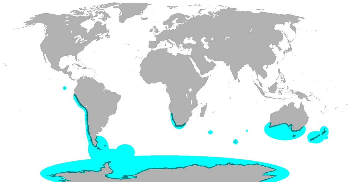 世界地図上にペンギンの分布域を示した図