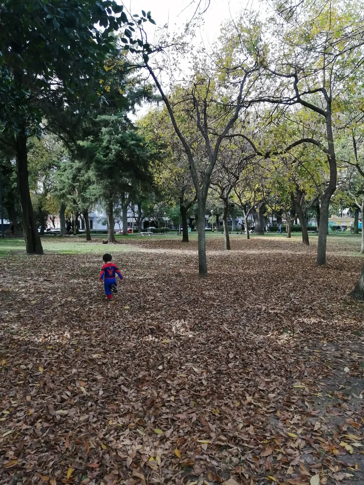 ブエノスアイレスの公園で、一面の落ち葉の上を歩く子ども