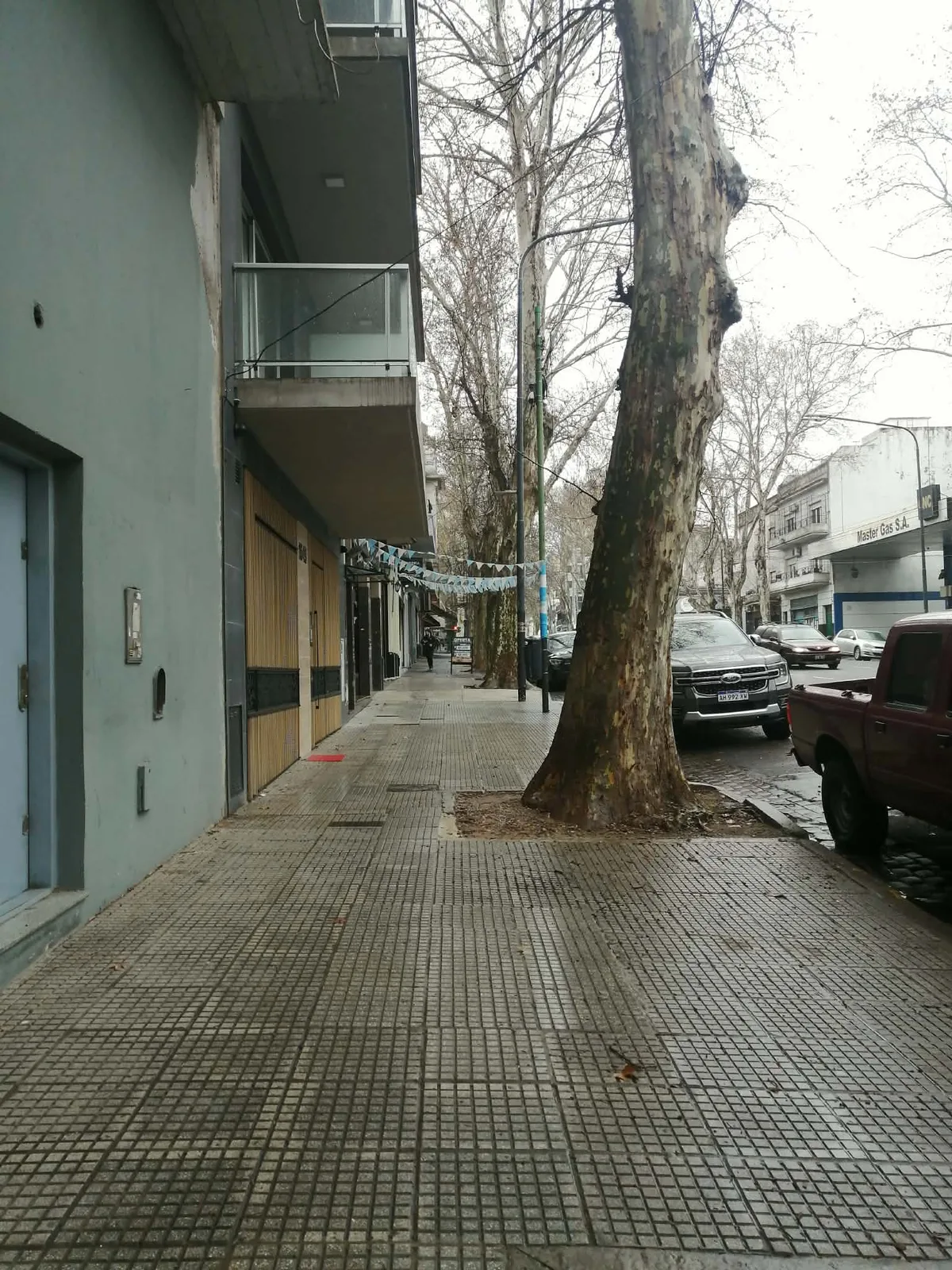 冬のアルゼンチンの歩道。葉を落としたプラタナスの並木と、水色と白の小旗が張られた通り