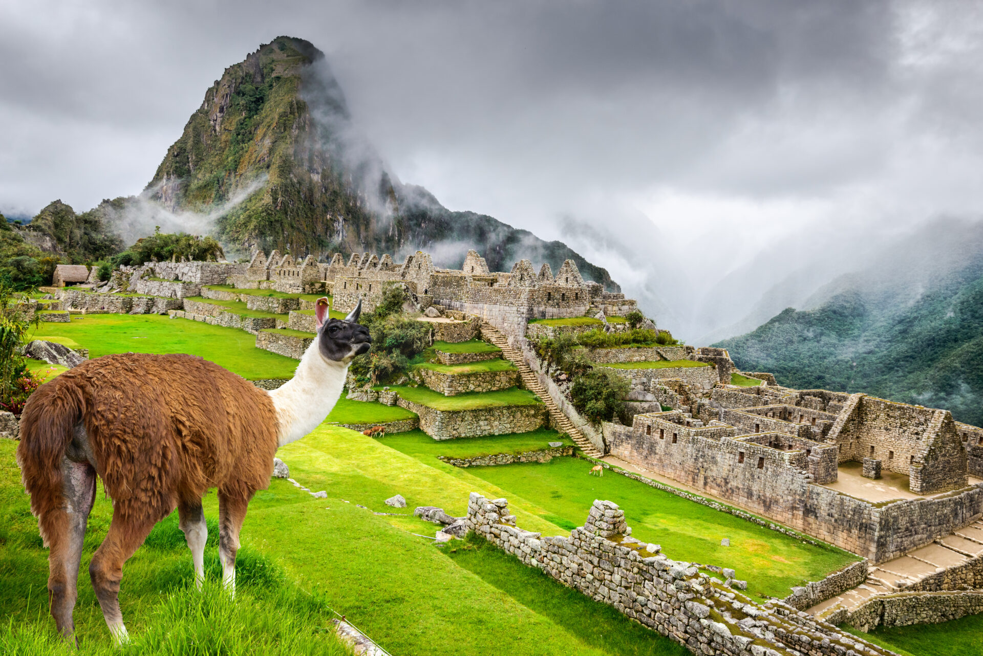 インカ帝国の歴史と暮らしを紐解く鍵